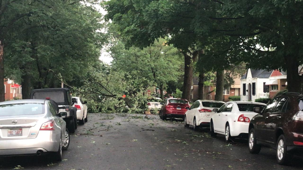 Las afectaciones de la tormenta del lunes en Chicago