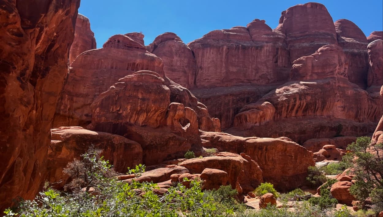 Hombre que deseaba esparcir las cenizas de su padre murió en un parque de Utah