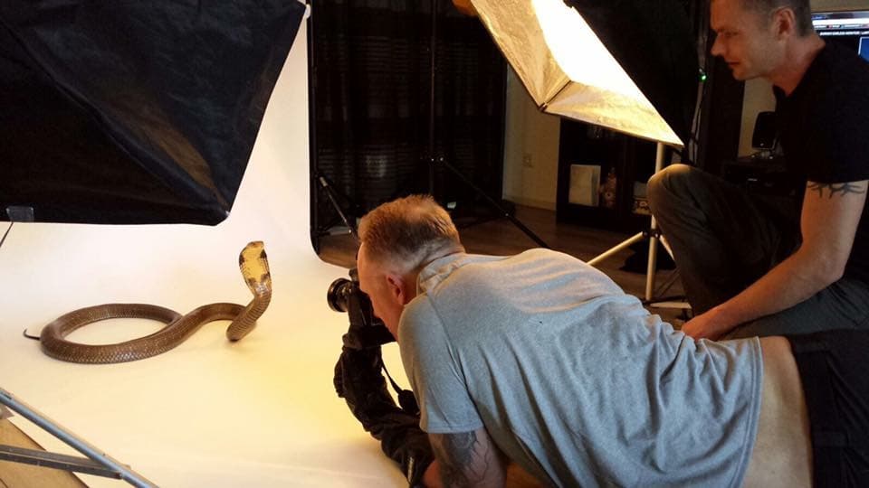 Kuijpers en plena sesión con una serpiente Cobra en el estudio.
