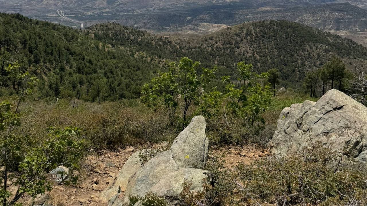 Hallan muertos a dos estudiantes de Arcadia High School cerca de la Ruta Estatal 87
