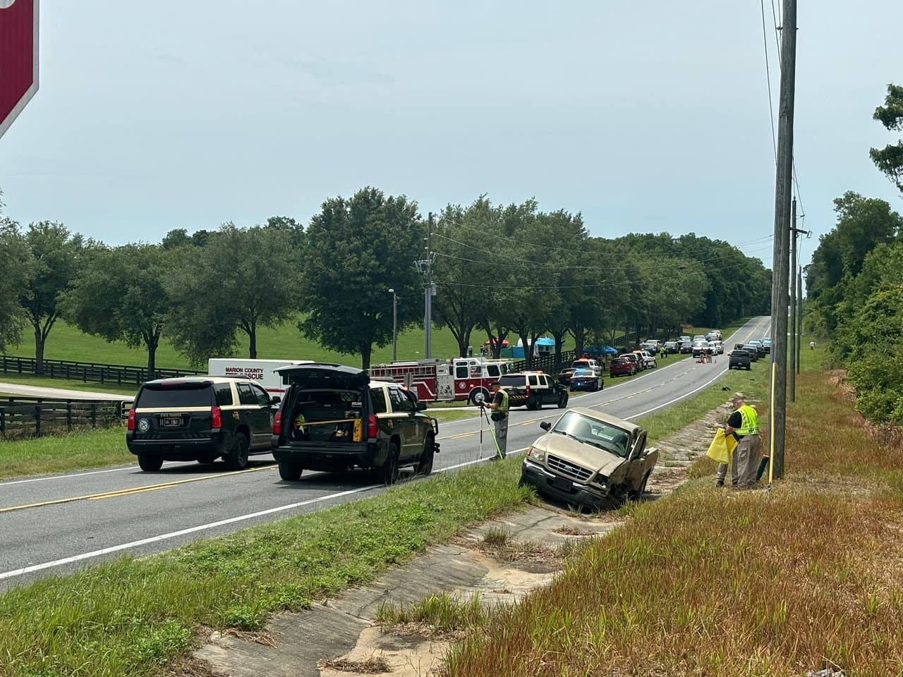La canciller mexicana Alicia Bárcena fue la primera en confirmar que había nacionales de su país implicados en esta tragedia.
<b>"Lamento informar que ocurrió un trágico accidente automovilístico en Florida con trabajadores agrícolas mexicanos involucrados</b>. El Consulado de México de Orlando está en el lugar para apoyar a personas mexicanas y brindar protección consular", escribió.