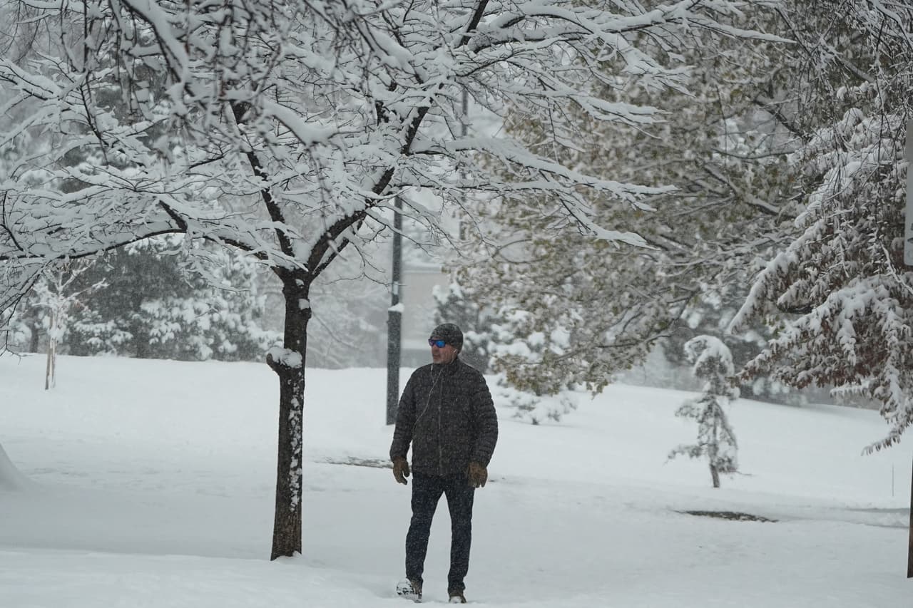 ¿Por qué los árboles pueden “explotar” durante una tormenta invernal?