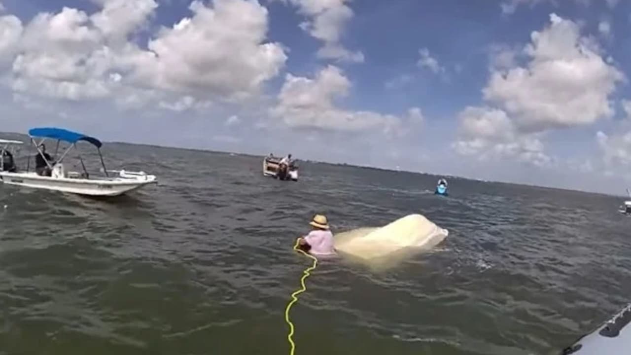 Así fue el angustiante rescate de cinco personas en una embarcación volcada en Florida