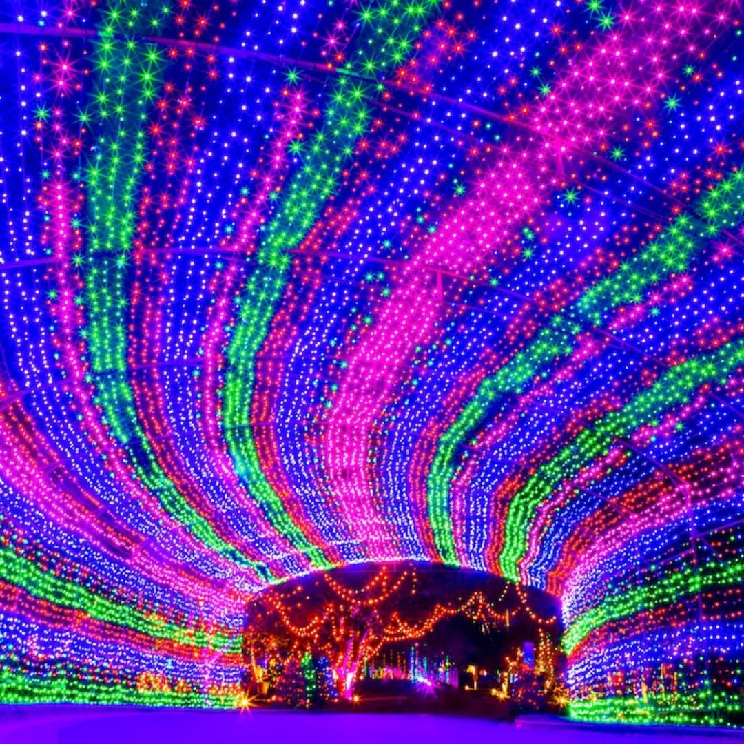 En un horario de 7:00 pm a 10:0 pm,
<b>puedes entrar gratis a Austin Trail of Lights, estos días de diciembre: 16, 17 y 18. </b>
<br>
<br>Aquí puedes ver el
<a href="https://austintrailoflights.org/calendar" target="_blank">calendario completo</a>.