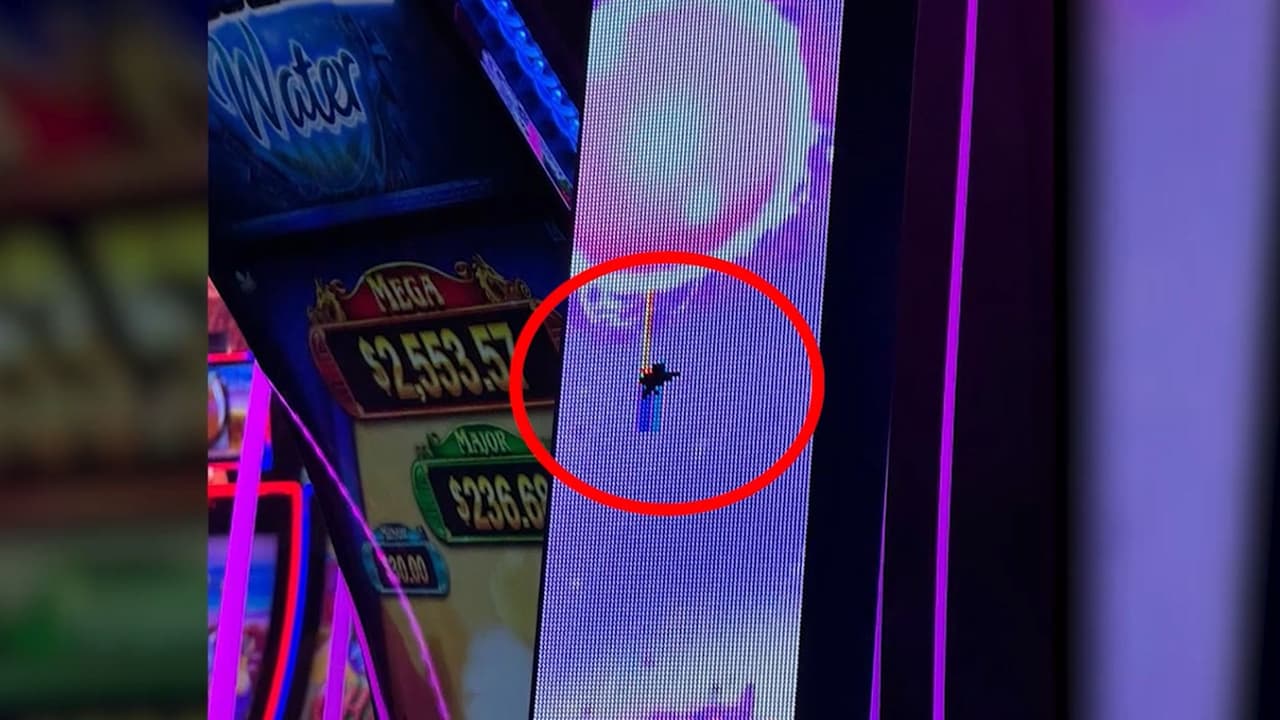 Entre las imágenes que quedaron de la escena, se observa
<b>una máquina tragamonedas con un impacto de bala</b> en la pantalla.
<br>
<br>Adentro y afuera del casino se vivieron momentos de angustia, cuando los asistentes intentaban ponerse a salvo o ayudar a las personas heridas.