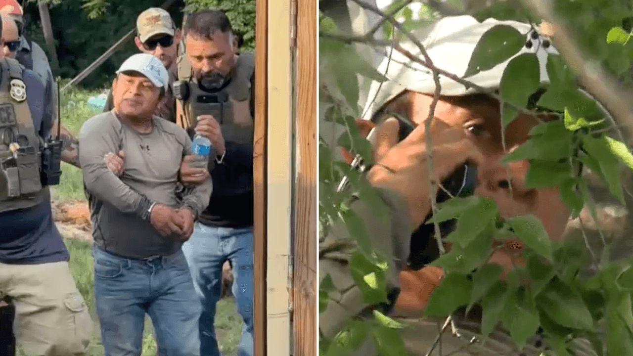 ¿Qué pasó con la audiencia de Raymundo Caal, el inmigrante que subió a un árbol para evitar a ICE?