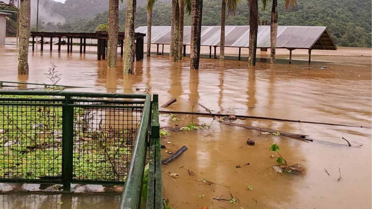 Las fuertes
<a href="https://www.univision.com/local/puerto-rico-wlii/lluvias-puerto-rico-inundaciones-derrumbes-cierre-de-carreteras-refugios-clases-virtuales">lluvias que han caído en las últimas horas en Puerto Rico</a> ocasionaron inundaciones en diversas partes de la isla.