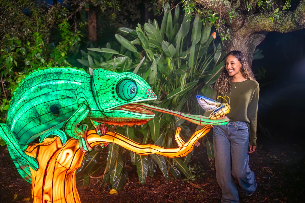 <b>Enchanted Lagoon: </b>Laguna iluminada inspirada en una perla lunar, con sirena y unicornio marino, diseñada para un recorrido nocturno de luz y fantasía.