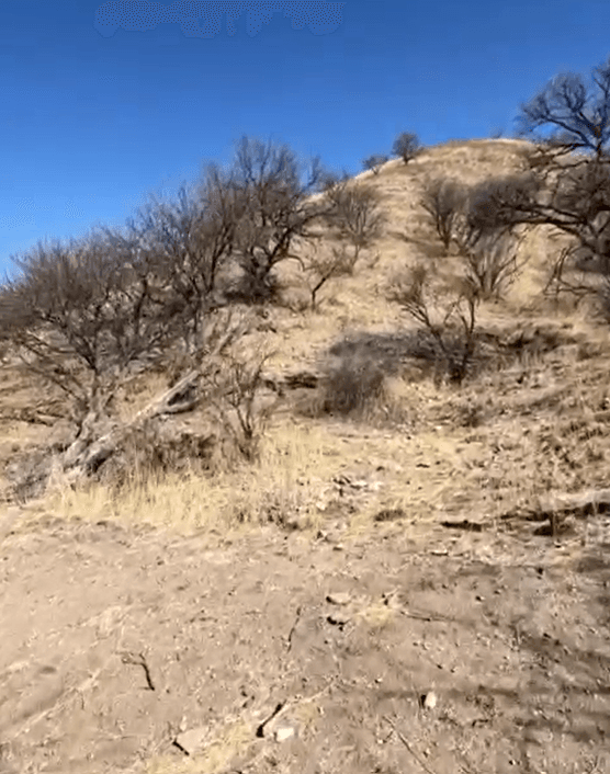"No se preocupen, familia.
<b>Yo voy a estar bien</b>", dijo Aguida, con el aliento cortado, agitada. También admitió que el traficante de personas que la llevaba la había abandonado.