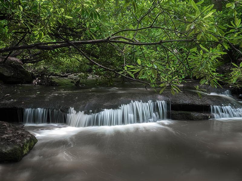 Conoce más sobre South Mountains State Park,
<b><a href="https://www.ncparks.gov/state-parks/south-mountains-state-park">aquí</a></b>.
