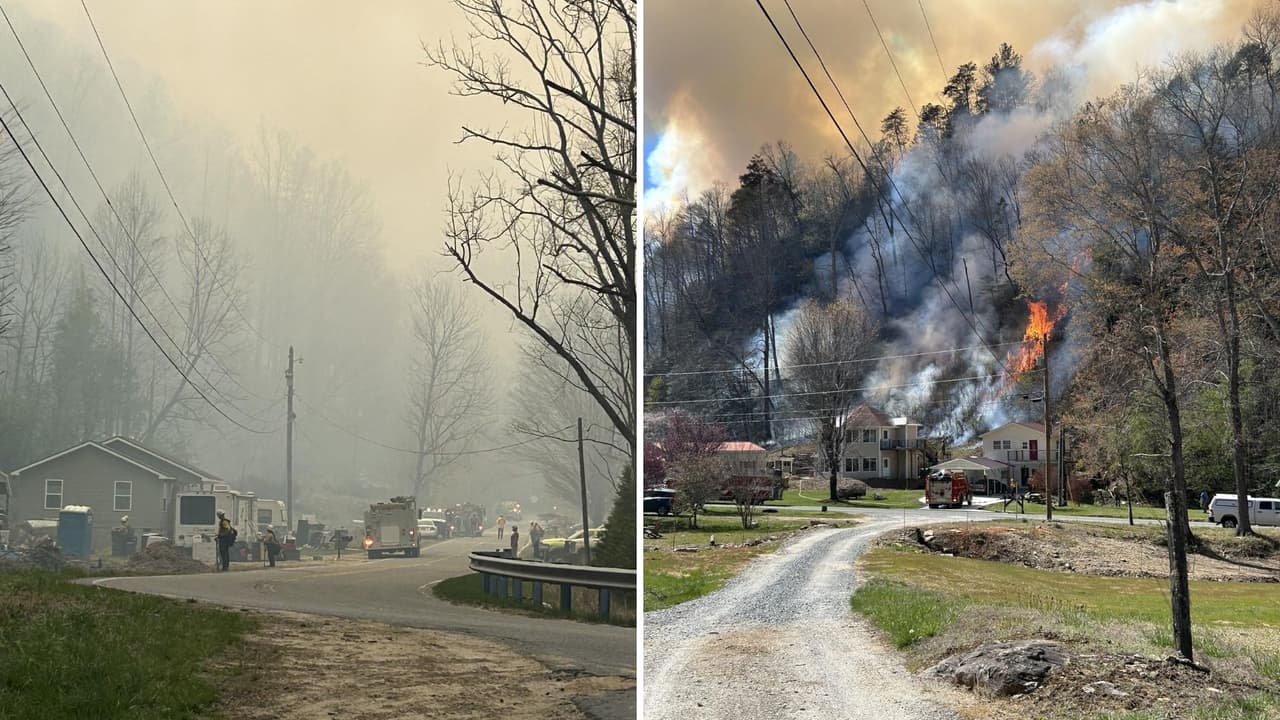 Mujer es acusada de provocar un incendio forestal con su cigarro en Carolina del Norte