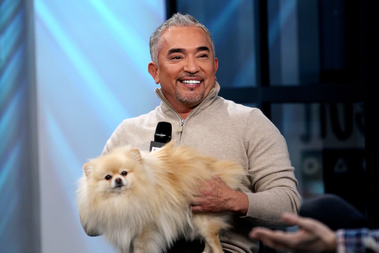 <b>César Millán</b>. The famous TV dog-lover is a Mexican immigrant who, in addition to confessing that he entered illegally at age 21, did not speak English either. His first job was as a canine hairdresser, and that's how he met Jada Pinkett Smith (wife of actor Will Smith) who paid for a tutor to help him learn the language.