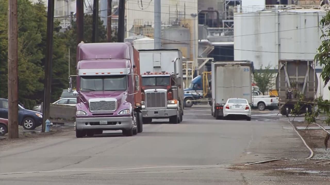 Ciertos migrantes no podrán renovar u obtener licencias comerciales de conducir