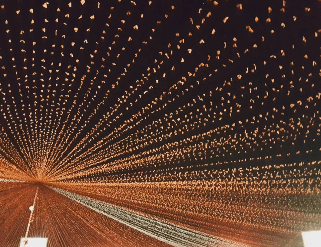 Las cifras de asistentes son contradictorias, unos dicen que fueron cerca de 15,000, mientras otros estiman que fueron 40,000.