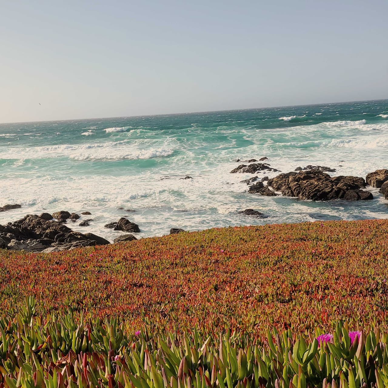 El Santuario Marino Nacional de la Bahía de Monterey es un área marina protegida por el gobierno federal de los EE. UU. Frente a la costa central y del Big Sur de California.