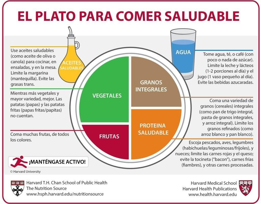 Si te sientes perdido con estas recomendaciones puedes guiarte por
<a href="https://www.hsph.harvard.edu/nutritionsource/healthy-eating-plate/translations/spanish/">el modelo de plato</a> de la Escuela de Salud Pública de Harvard para oobtener una alimentación equilibrada y saludable.