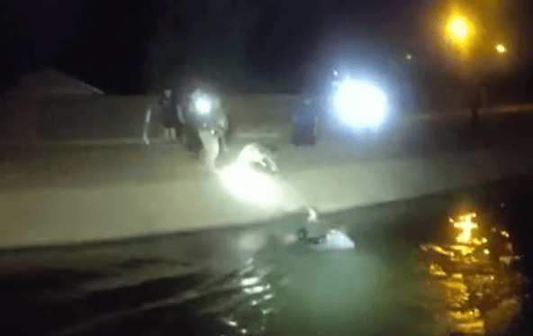 Llegó rápidamente hasta el
<b>asustado perrito</b>.