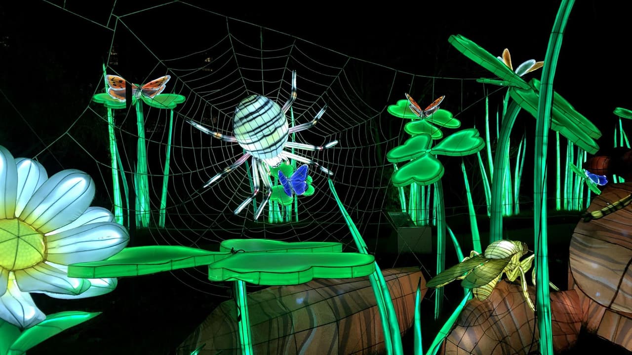 Música en vivo y DJ para animar el ambiente festivo del
<i>Asian Lantern Festival</i>.