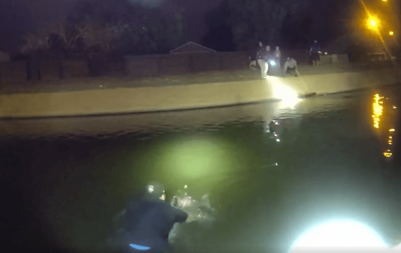 Luego, el oficial de
<b>policía se lanzó al agua y comenzó a nadar</b> hacia el perrito.