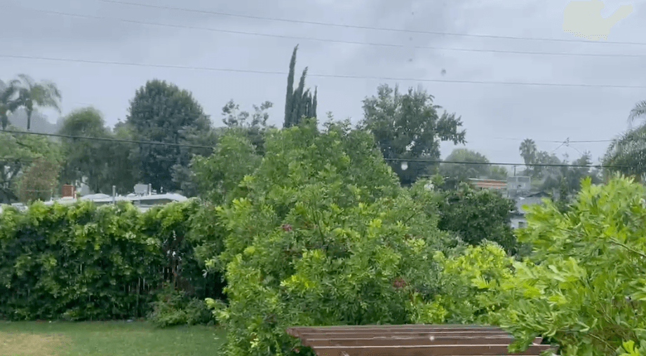 En
<b>Woodland Hills</b> llovía, pero no con la intensidad que han estado sintiendo desde temprano otros sectores.