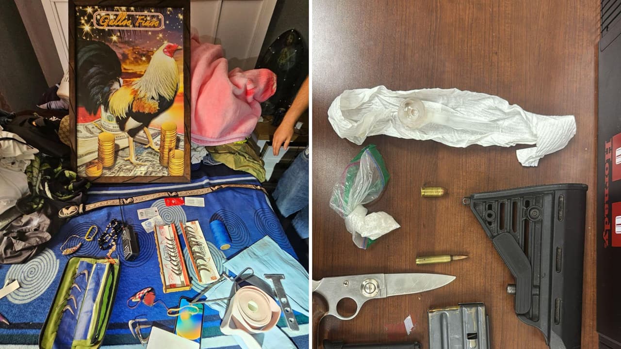 26 personas detenidas por delitos de crueldad animal, drogas y armas largas en Tulare