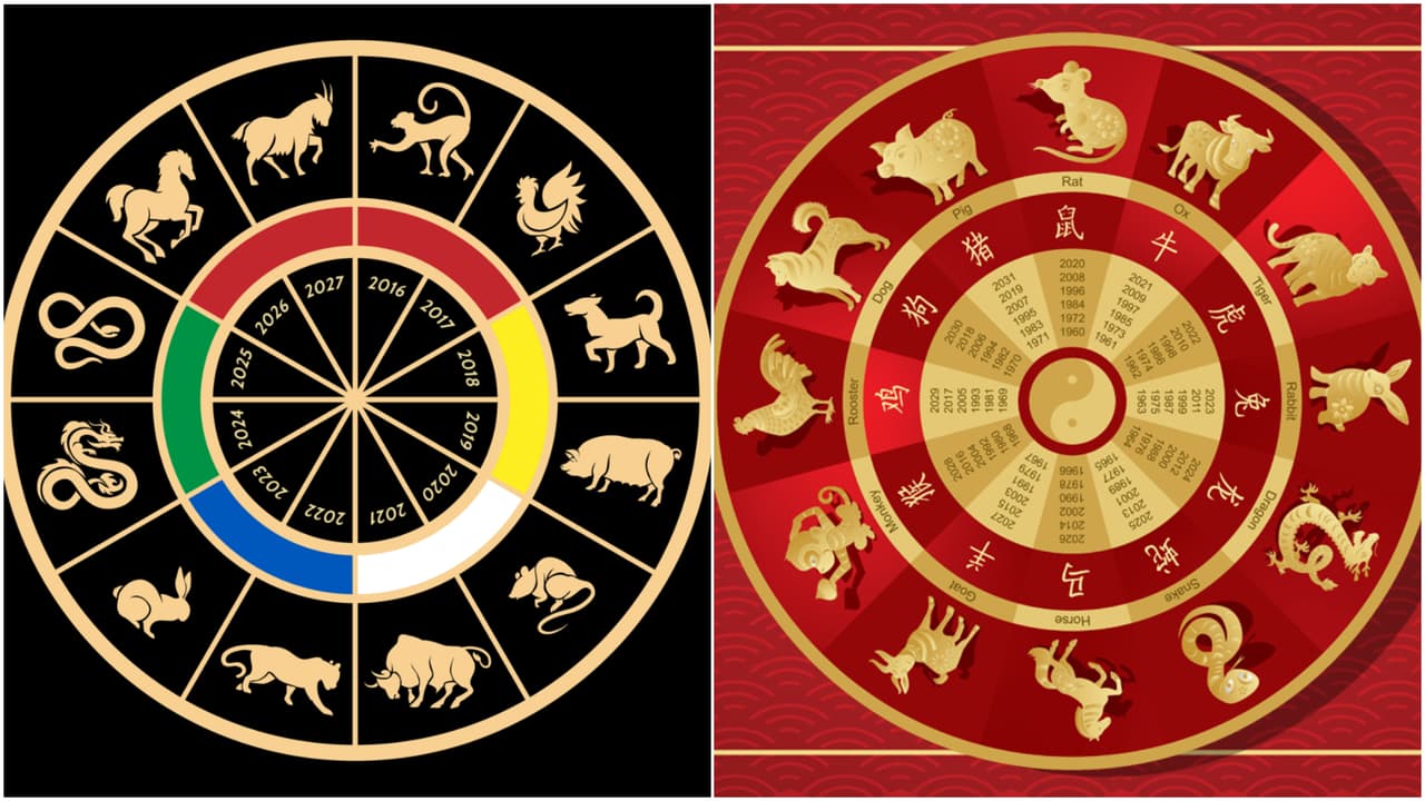 Signos del zodiaco chinos, ¿qué signo eres por tu año de nacimiento y cómo es tu personalidad?