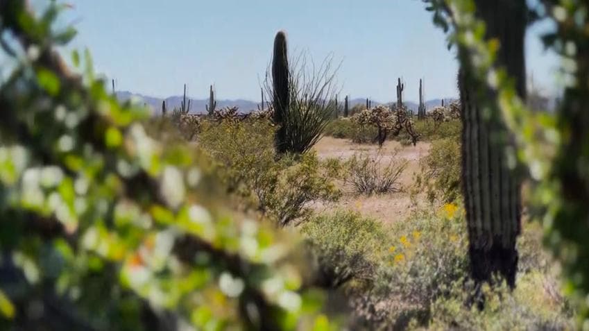 "Solo aquellos que cargan el morral saben lo que lleva dentro", reza un dicho. Por ello, qué mejor manera de conocer todo lo que viven los migrantes en su camino a Estados Unidos.