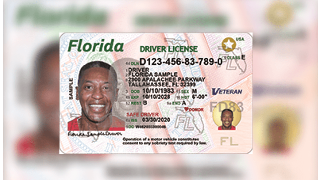¿Tienes la licencia de conducir suspendida? Te decimos cómo puedes volver a manejar en Florida