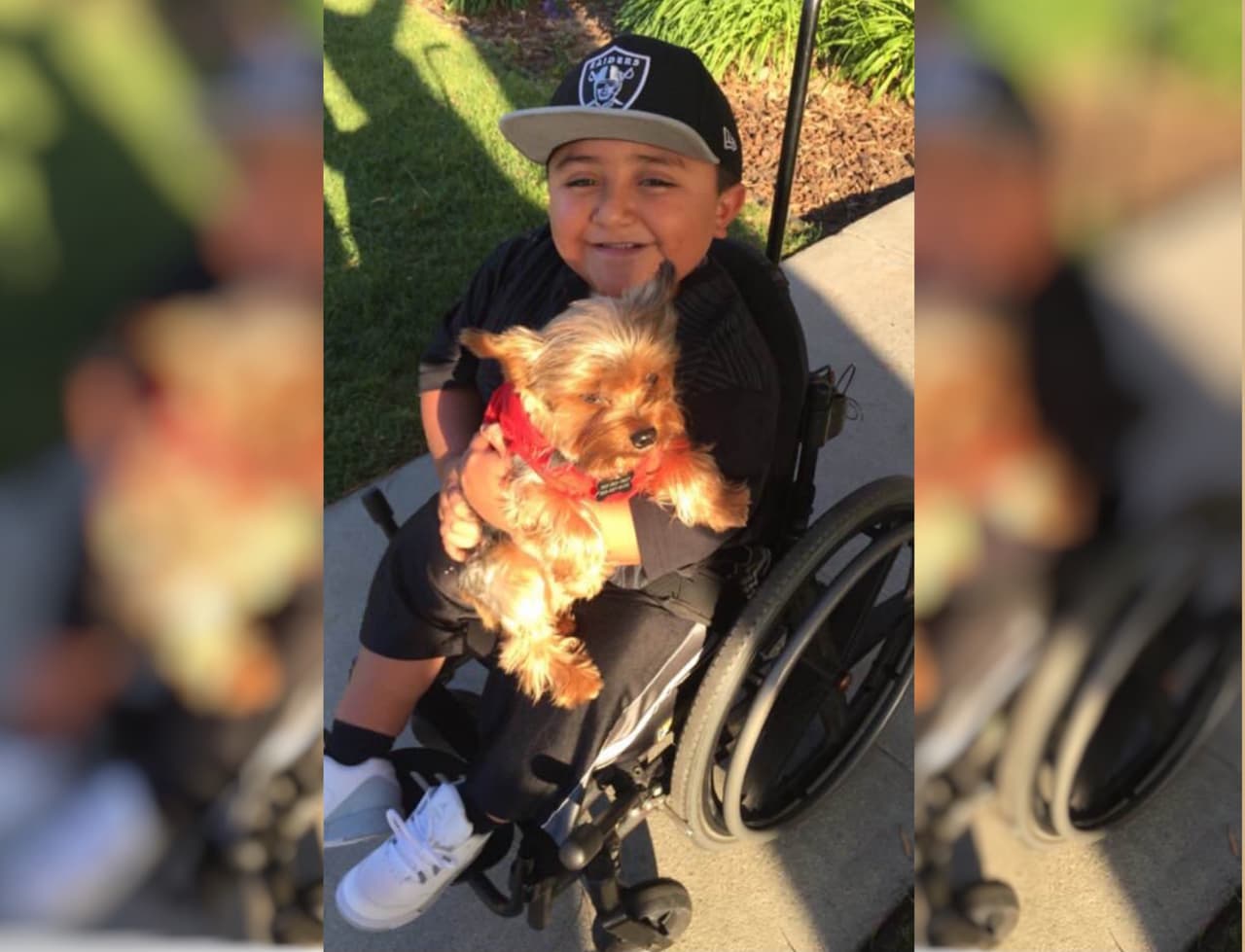 La desaparición de un perro termina por unir a dos familias hispanas