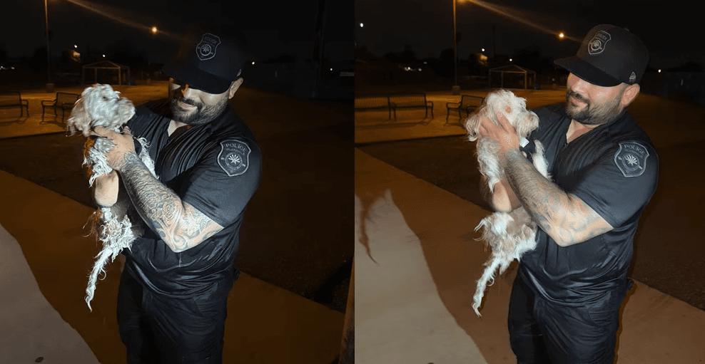 La mascota fue rescatada; este fiel amigo se encuentra
<b>sano y salvo</b>.