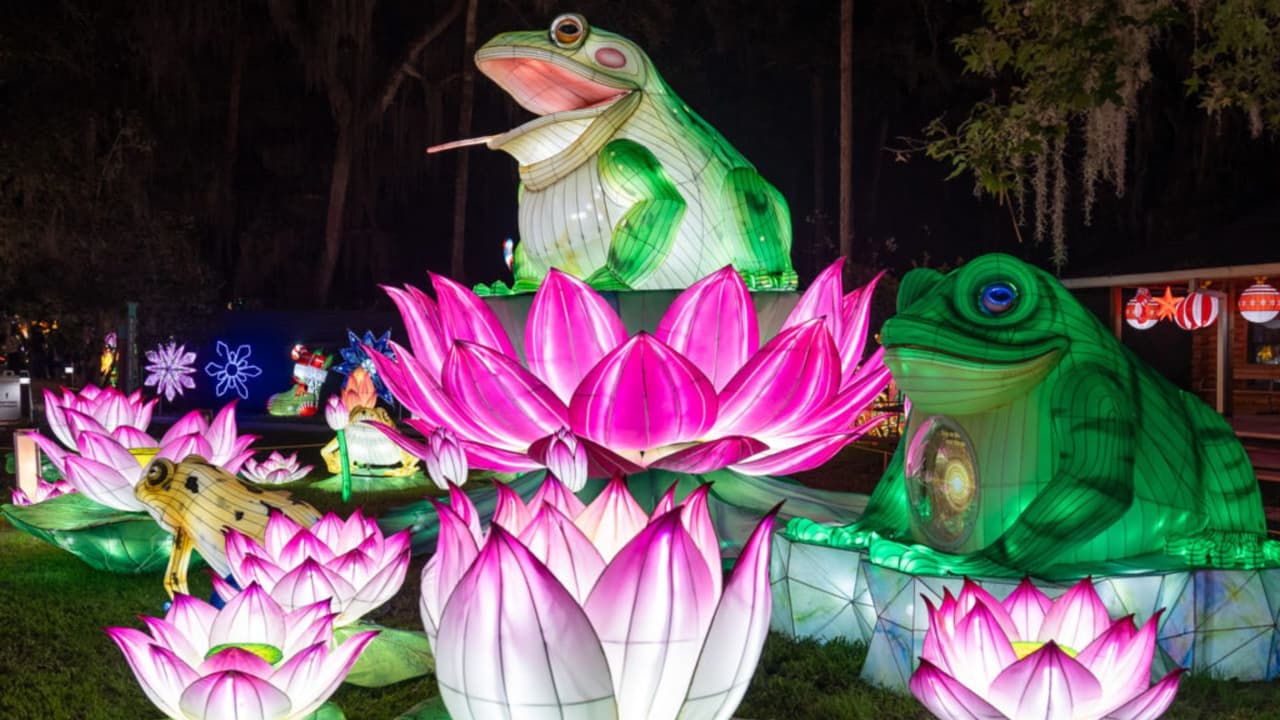 Recorrido mágico de linternas artesanales iluminadas en el Zoológico de Florida Central.