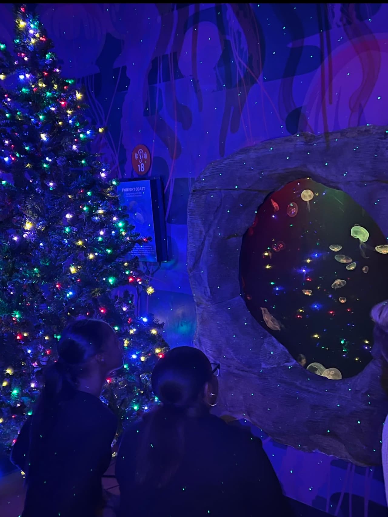 <b>Caminata Nocturna Bajo Luces Navideñas. </b>El paseo iluminado por la promenade se convierte en un escenario perfecto para fotos familiares. Las luces, adornos y ambiente festivo transforman el recorrido en una experiencia visual llena de color y espíritu navideño.