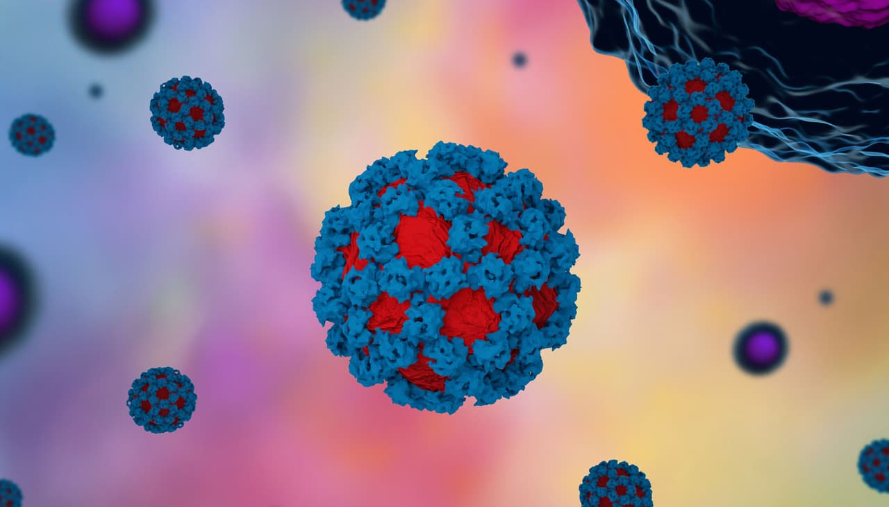 El norovirus podría llegar antes de lo esperado por la aparición de una nueva variante