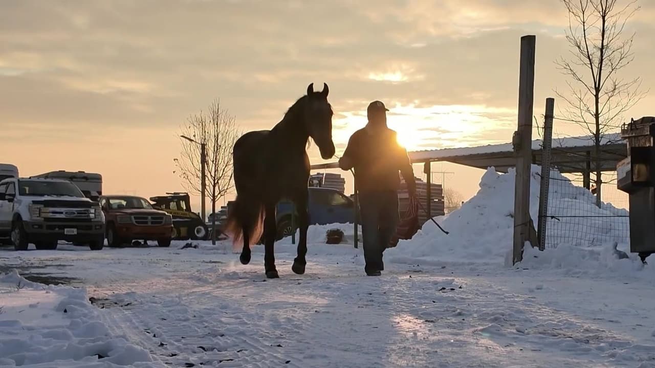 Como ocurre desde hace años, cientos de personas
<b><a href="https://www.univision.com/local/chicago-wgbo/inician-las-celebraciones-de-la-virgen-de-guadalupe-en-chicago-con-cientos-de-peregrinos-fotos" target="_blank">salen a peregrinar para agradecer a la Virgen de Guadalupe</a></b> por un año más de vida, salud, trabajo, entre muchos otros motivos. Cada quien lleva su propia razón.
<br>
<br>En esta ocasión, jinetes del Rancho Verde, emprendieron su camino hacia el santuario.
<br>
