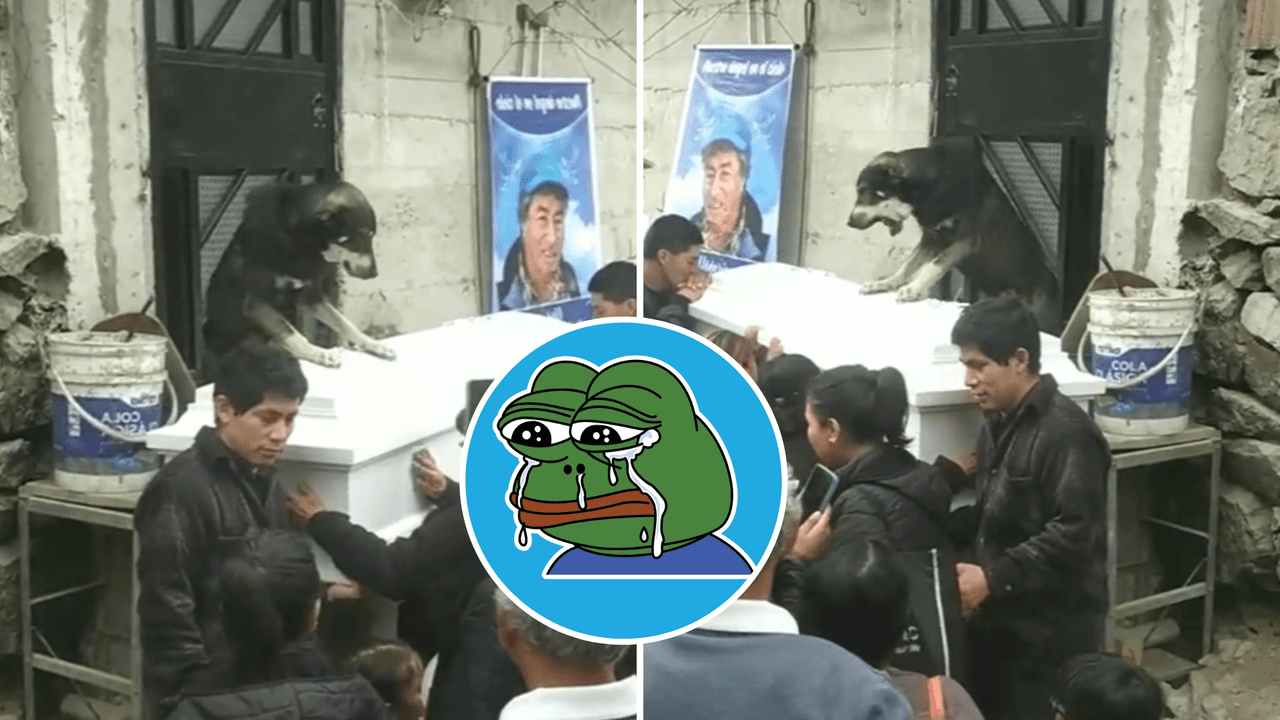 Perrito se ‘despide’ de su dueño en su funeral: el video es lo más triste que verás hoy