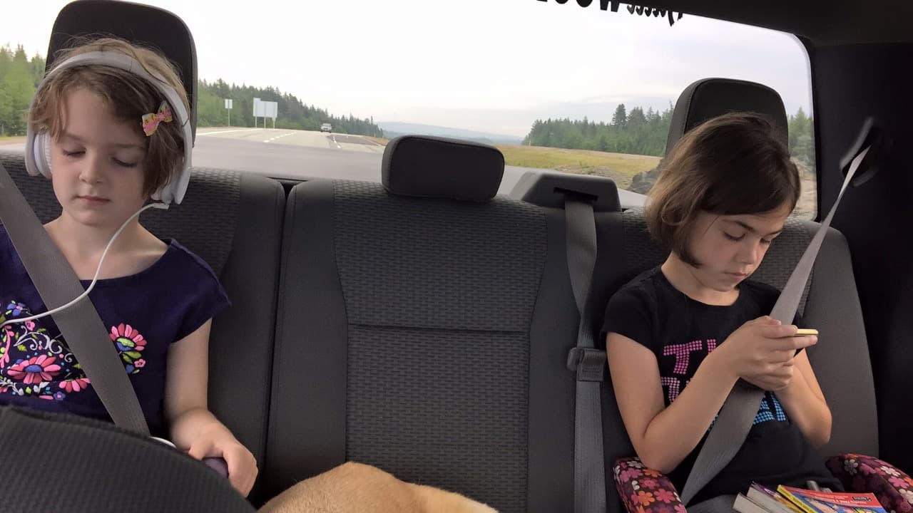 Traveling With Our Child With Autism and Her Service Dog - A Sumer Recap