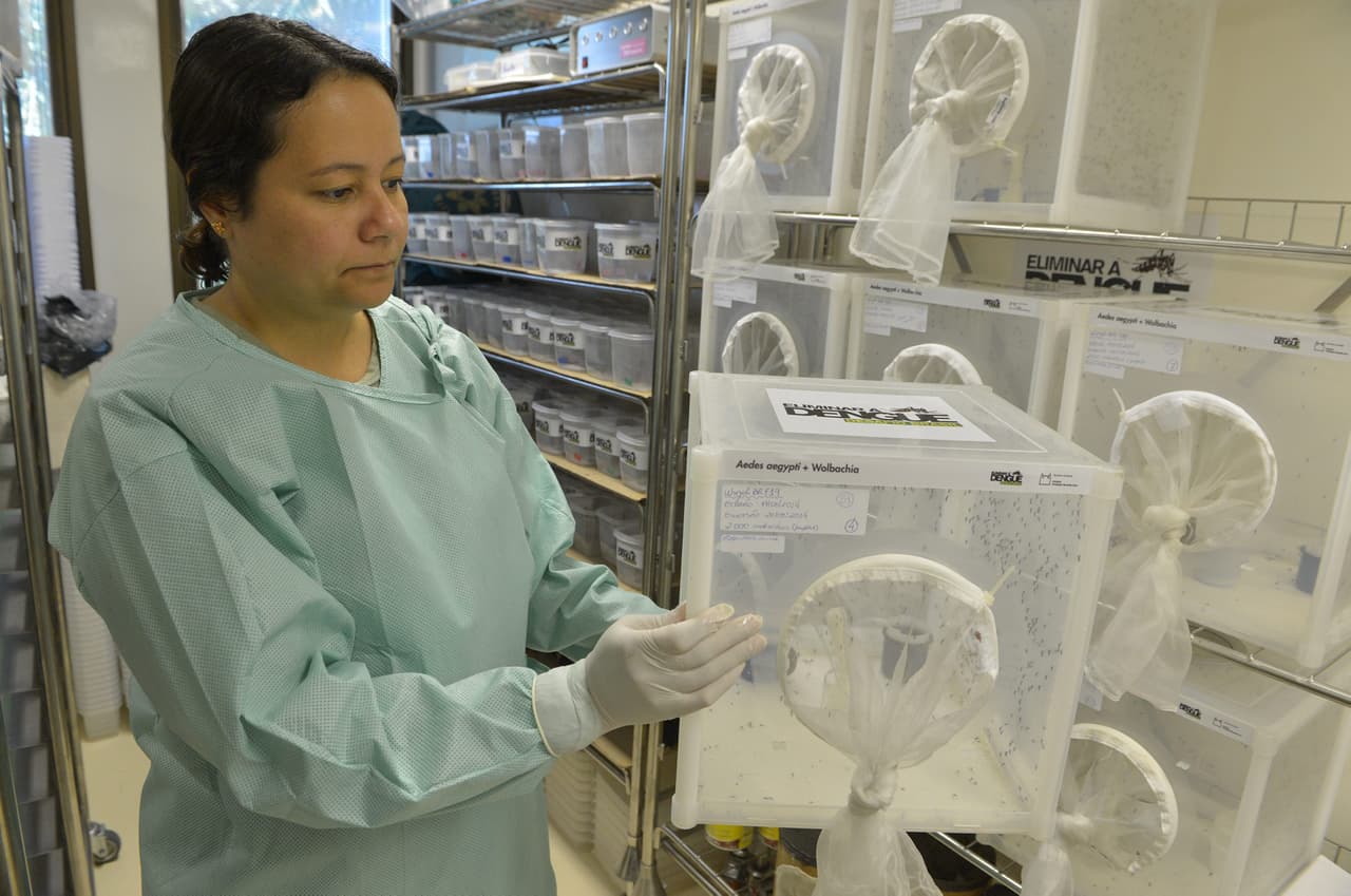 Brasil se une a México y Filipinas en el uso de la primera vacuna contra el dengue