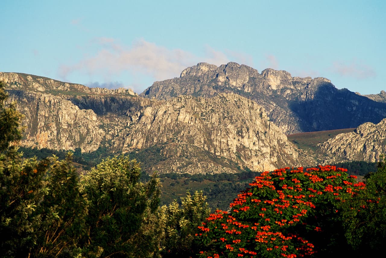 <b>Parque Nacional Chimanimani (Mozambique)</b>
<br>
<br>Este nuevo parque natural es un oasis en este golpeado país del este de África, afectado por el cambio climático, sus conflictos internos y la pandemia de covid-19. Sus visitantes impulsan la economía local mientras conocen pinturas rupestres y disfrutan de un refugio que protege a las especies en peligro.
<br>
<br>Según el diario neoyorquino la visita a estos hermosos rincones de nuestro planeta no solo evita el incómodo y contaminante turismo masivo en los lugares de siempre, también aporta un grano de arena contra el cambio climático y la protección de la naturaleza.
<br>