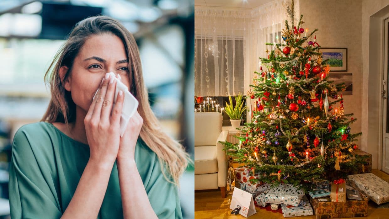 ¿Alérgica a las fiestas de fin de año? Podrías tener síndrome del árbol de Navidad