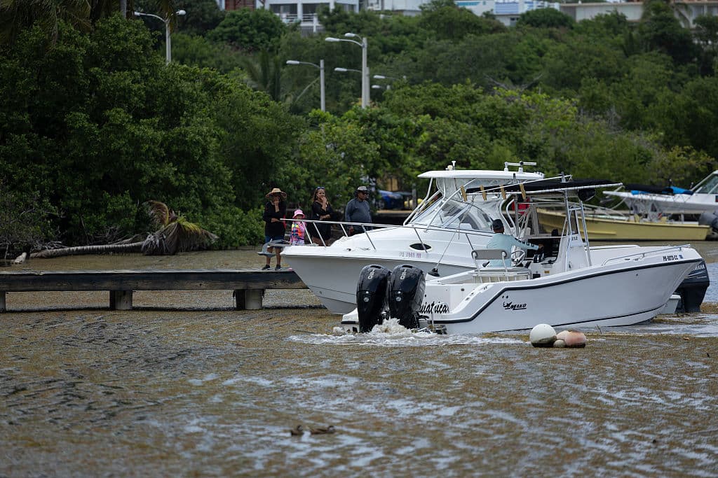 <b>Potencial productivo aún sin explotar: </b>Aunque existen iniciativas para transformar el sargazo en compost, biocombustible o materiales de construcción, estos usos aún no están consolidados ni implementados a gran escala.
<br>