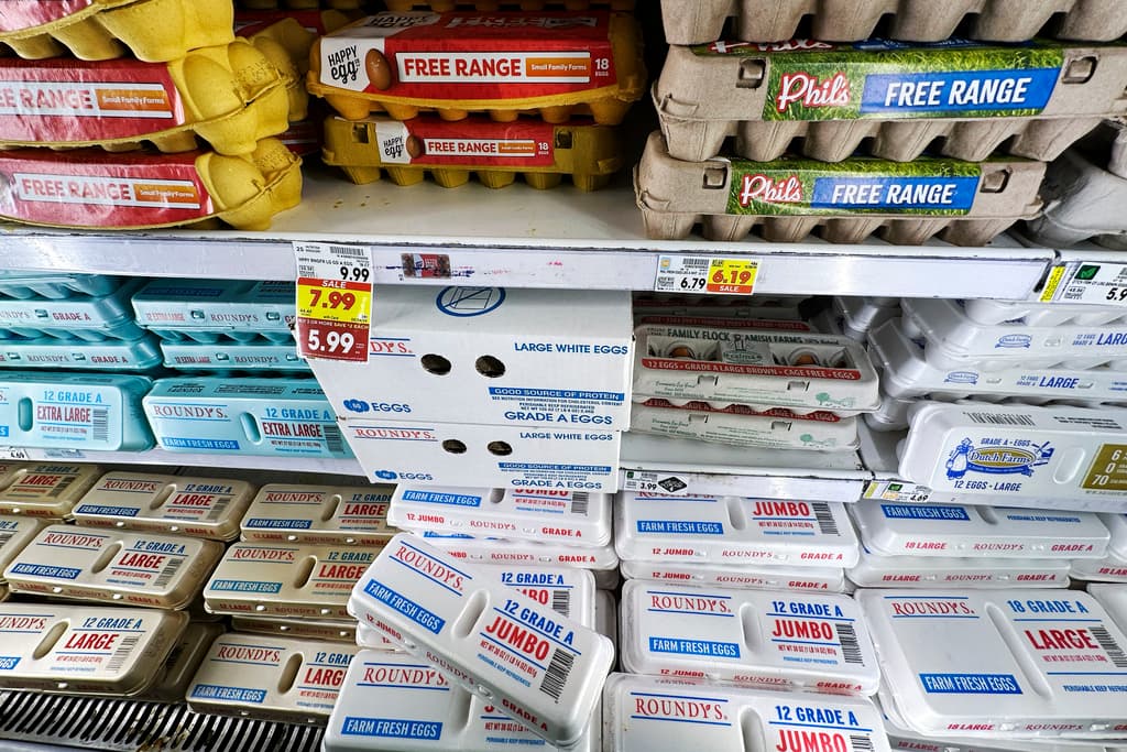 Hace cinco meses,
<b><a href="https://www.univision.com/local/chicago-wgbo/consumidores-reportan-alza-precio-huevo-chicago-a-que-se-debe" target="_blank">en Chicago</a></b> se podían comprar 18 huevos por casi 6 dólares.