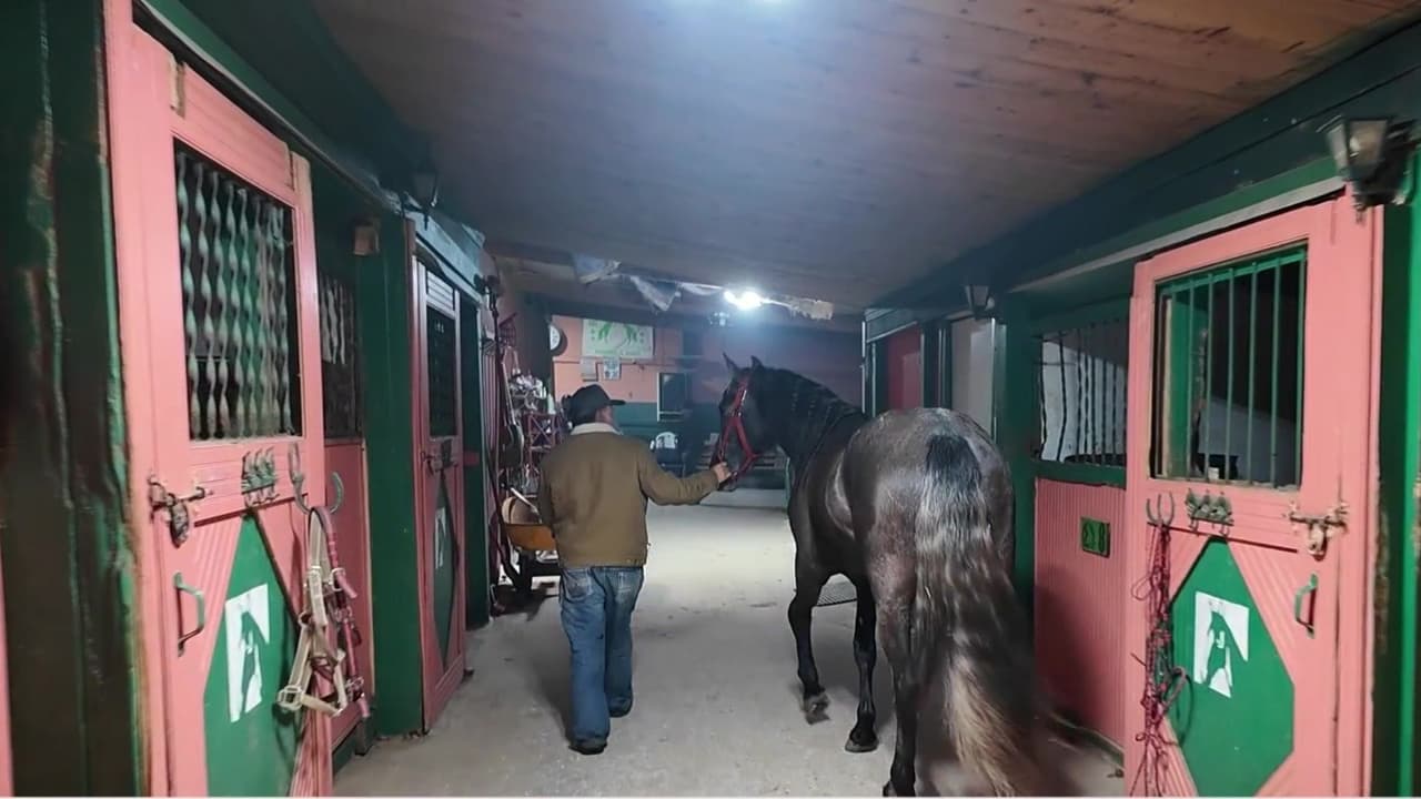 Con tres horas de trayecto por delante, personas de todas las edades se prepararon desde la madrugada: ensillaron sus caballos, se abrigaron contra el frío y se organizaron para iniciar la ruta.
<br>
<br>“Preparándonos para ir a ver a la virgencita.
<b>Yo tengo viniendo desde que empezó, unos 15 años yo creo”,</b> comentó el jinete Moisés Jaime.