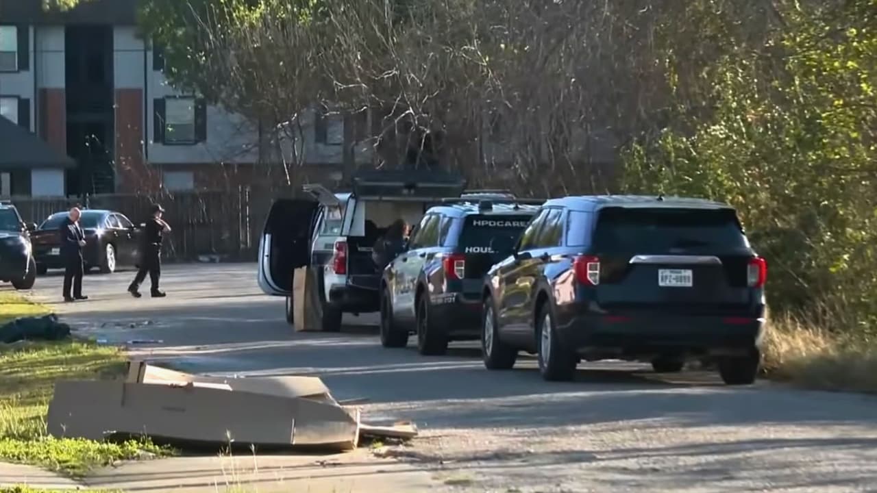 Hallan restos humanos en Minnesota Street, al oeste de la autopista Gulf Freeway.
<br>