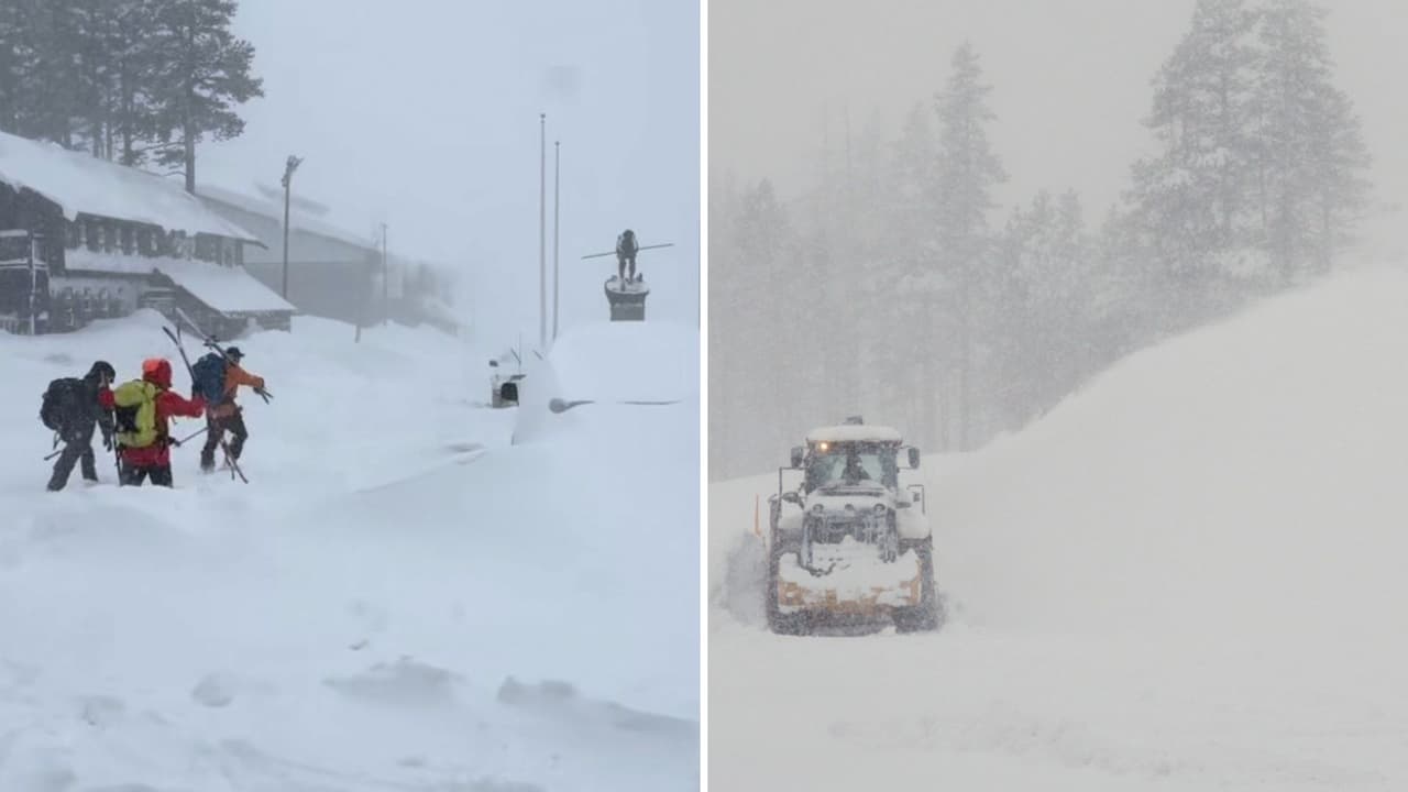 Seis de los nueve muertos en avalancha de Castle Peak eran madres de familia del Área de la Bahía
