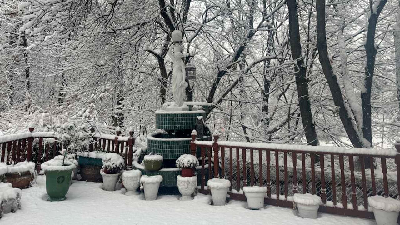 En
<b>Nueva Jersey y Long Island se registran algunas de las nevadas más intensas</b> del sistema, con pronósticos que anticipan entre 4 y 6 pulgadas, y acumulaciones locales que podrían alcanzar hasta 7 pulgadas.