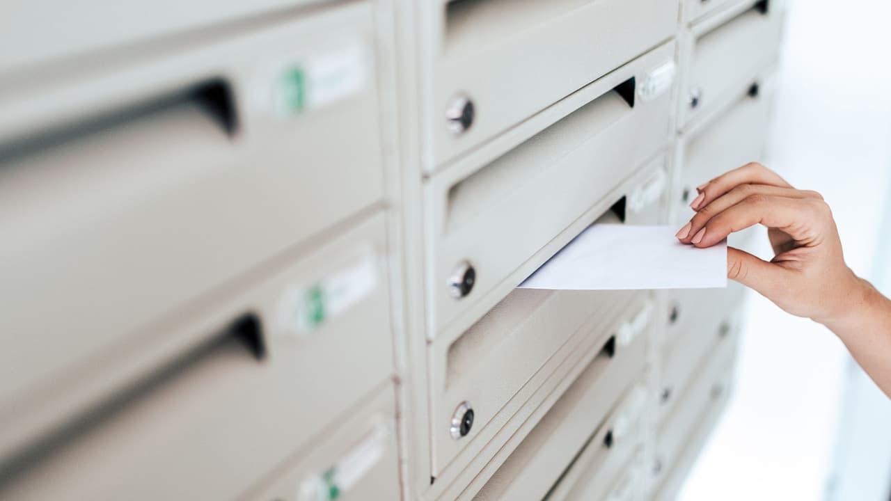 <h3 class="cms-H3-H3">Curiosidades postales </h3>
<b>El ZIP Code más bajo del país</b> es 00501 (Holtsville, NY), donde opera un centro del IRS (Servicio de Impuestos Internos).
<br>
<b>El más alto</b> es 99950 (Ketchikan, Alaska).
<br>Algunos ZIP Codes son exclusivos de instituciones,
<b> como 20500 (la Casa Blanca)</b>.
<br>
<b>Puerto Rico comparte el rango del “0”</b> con la costa este de Estados Unidos.
<br>
<b>Los territorios del Pacífico</b> usan el rango “9”.