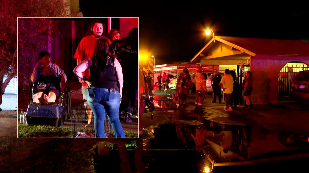 La cubrió con su cuerpo para que no se quemara: Perrito muere tras salvar a niña de morir en un incendio