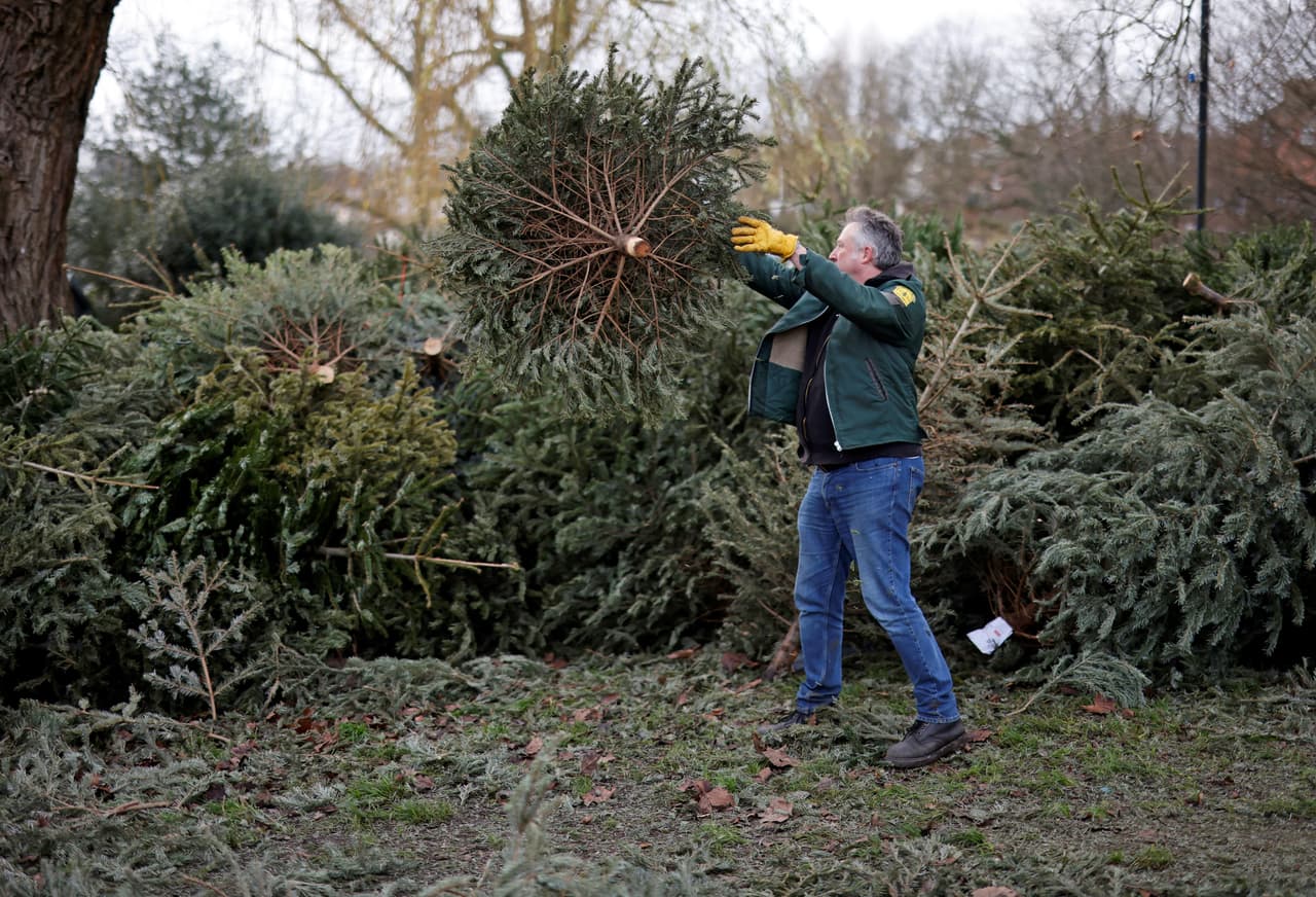 ¿Ya quitaste tu árbol de navidad? Esto es lo que debes saber si quieres reciclarlo en NY