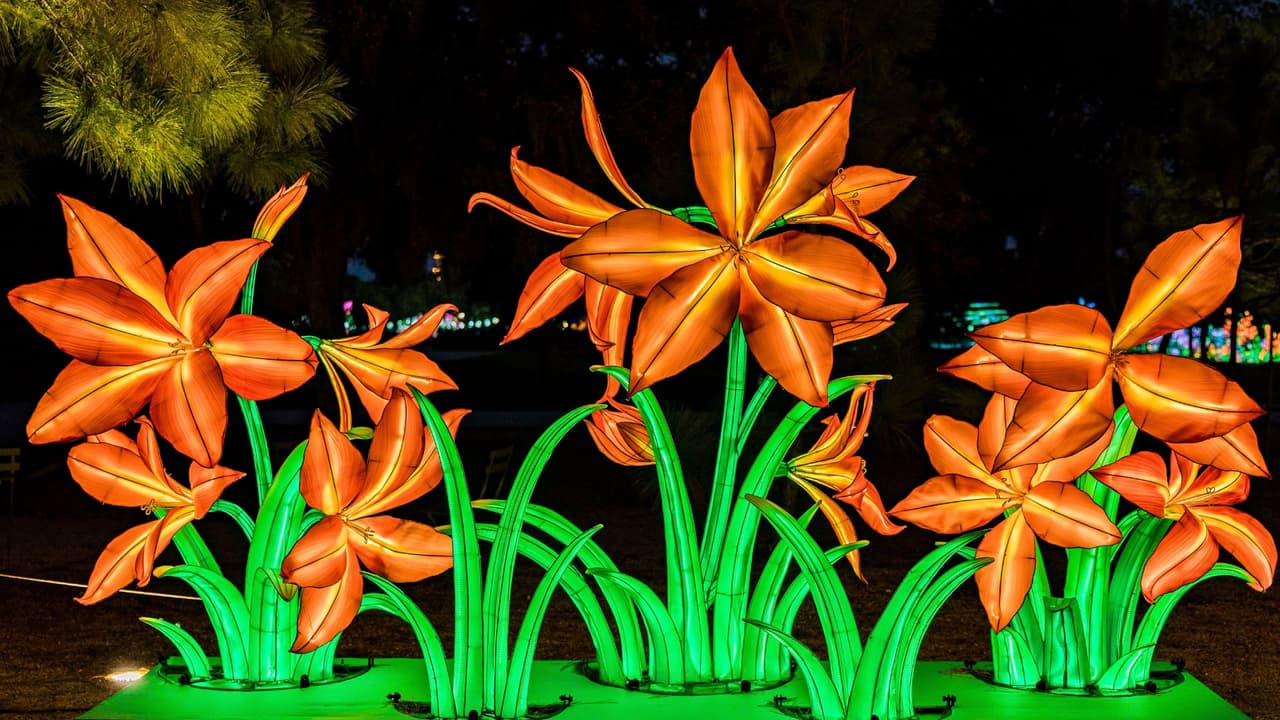 El festival ofrece una experiencia de 3/4 de milla llena de linternas y sorpresas.