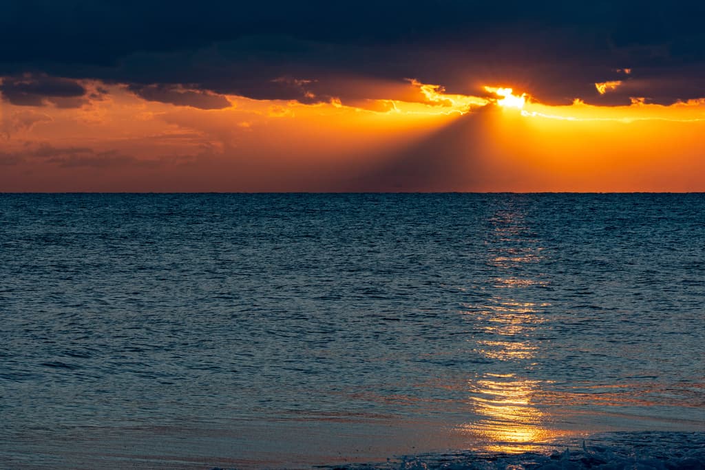 Una imagen espectacular en Palm Beach